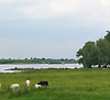 Rivier de Merwede